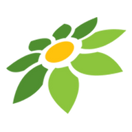 SLOT303
